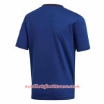 Maillot/Tenue Japon Domicile 2018